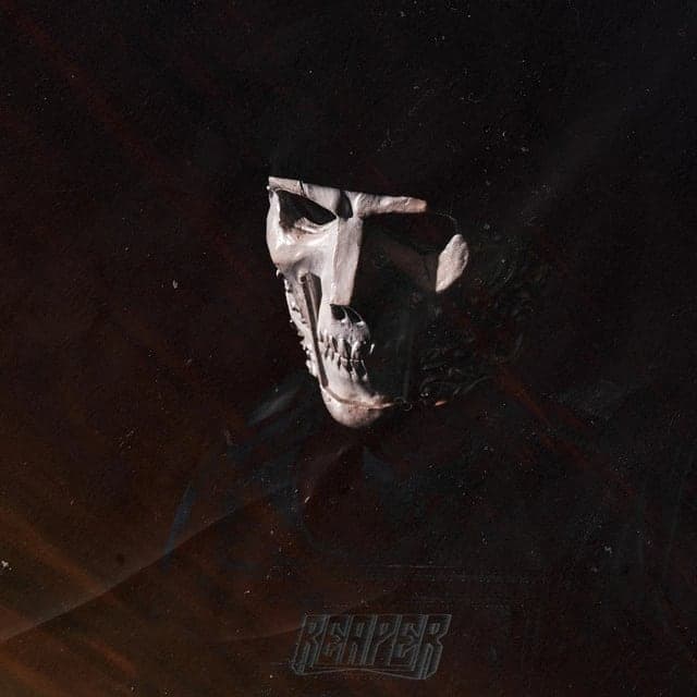 REAPER profile picture