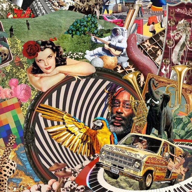 The Sponges profile picture