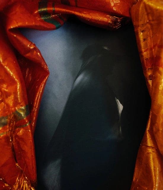 Priya Ragu profile picture