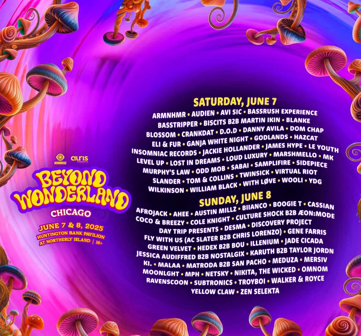 Beyond Wonderland Chicago promotional image