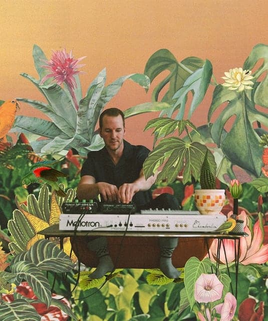 Monster Rally profile picture