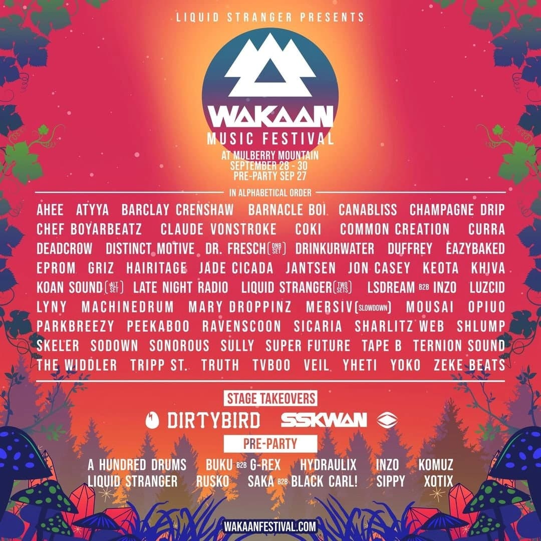 Wakaan Music Festival promotional image