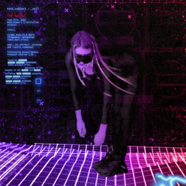 VEIL profile picture