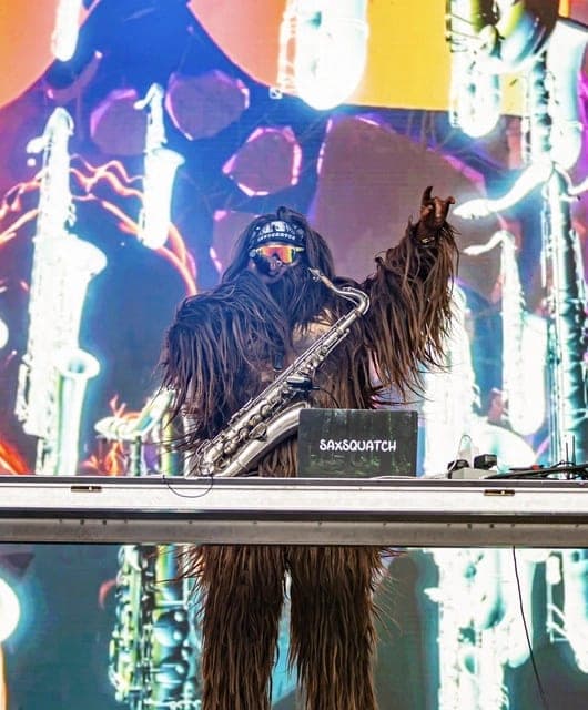 Saxsquatch profile picture