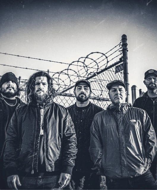 Mongrel profile picture in Chango b2b Mongrel B2B set