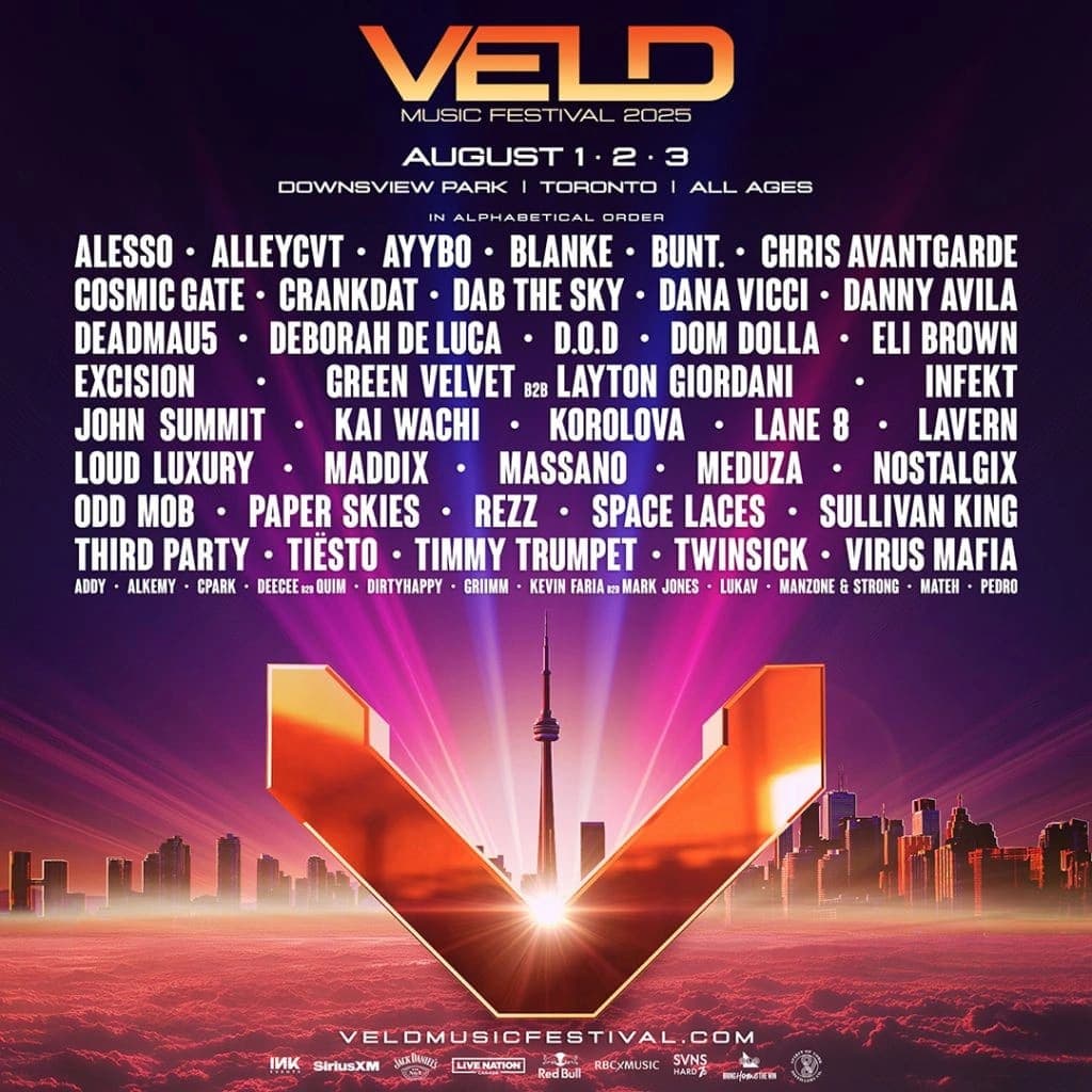 VELD Music Festival promotional image